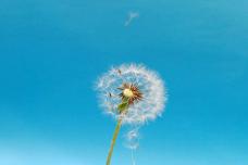 延長榨油機壽命小技巧